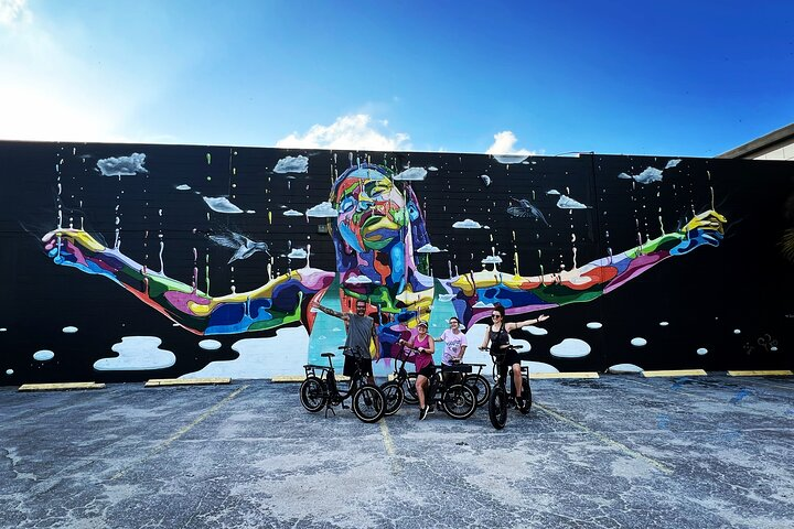 E-Bike Guided Tour Downtown St Pete: Sights & Murals - Photo 1 of 11